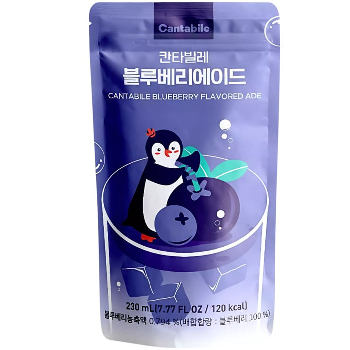 BEBIDA CANTABILE 10 x 230 ML ARÁNDANOS ADE ASIATICO