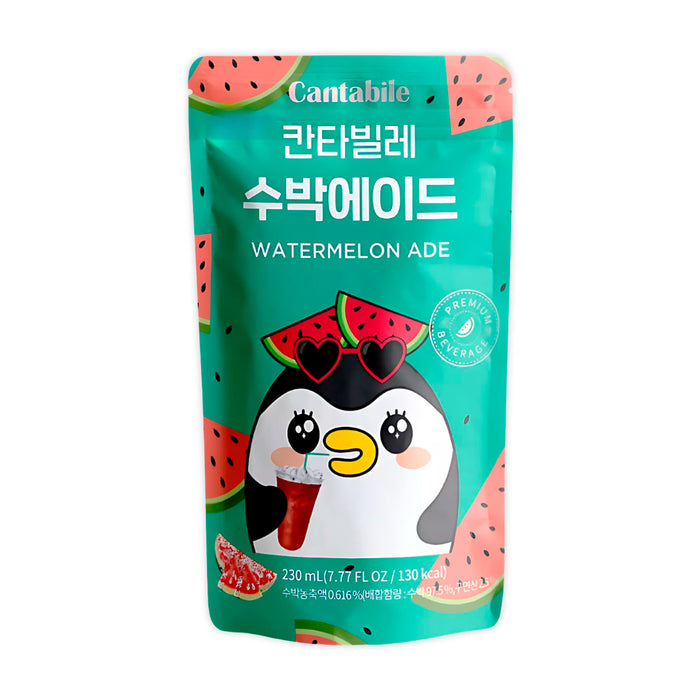 BEVER CANTABILE 10 x 230 ML WATERMELON ADE ASIAN